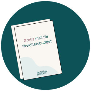 mall för likviditetsbudget png